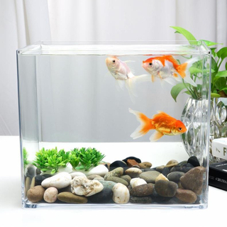 Aquarium der Serie Ecobox FC25-50 